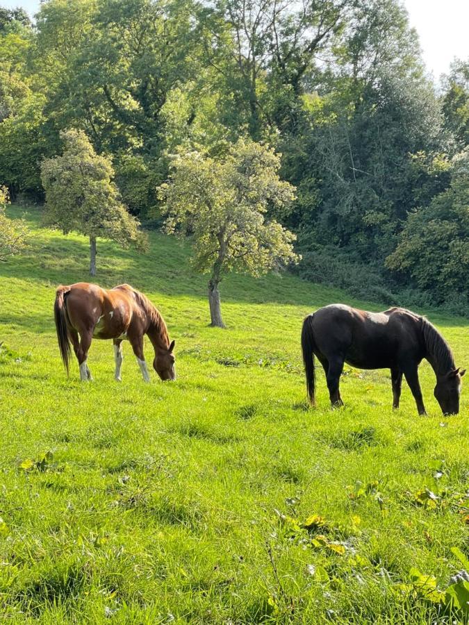 Gites - Domaine De Geffosse ปง-เอเลแวก ภายนอก รูปภาพ